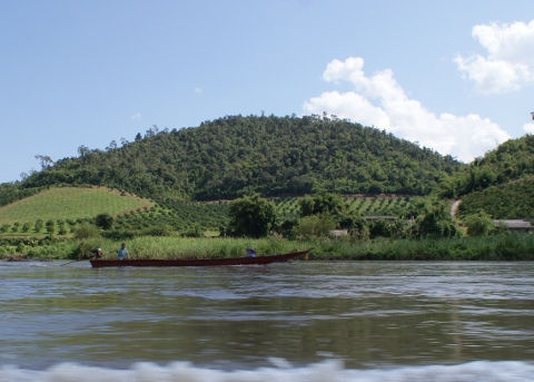 Fields by the river