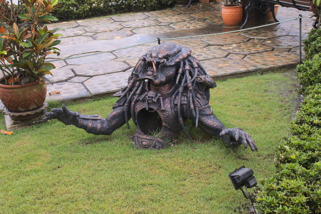 Predator caught at the temple