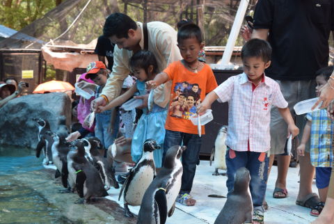 Khao Kheow Open Zoo