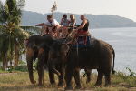 Riding an elephant in Thailand