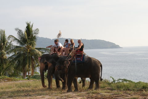 உங்களுக்கான கனவுகளும் பலன்களும் பகுதி 28 9 Riding an elephant